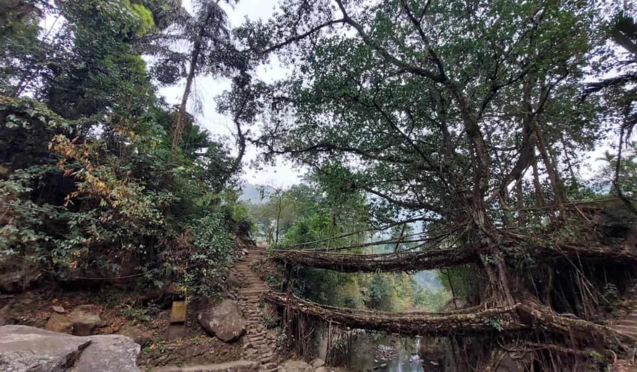 Odyssey Stays Nongriat - 3Kms Trek From Main Road Cherrapunji Exterior photo